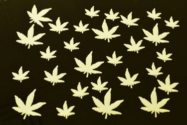 50 Piece Glow in the Dark Multicolor Marijuana Pot Leafs Wall Ceiling Decor